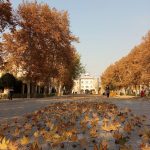 Lovers-without-Mausoleum-Mahmoud-Maktabi-Tehran-Iran-Autumn-leaves-festival-mashgh-square-2017-4