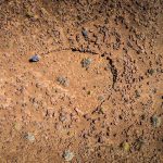 Lovers-without-Mausoleum-Mahmoud-Maktabi_Desert-Shield_Tankwa-south-africa_GNAP-2016-contemporaryart-environmental-art-nature-art-desert-africa-stone-محمود-مکتبی-آفریقا
