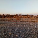 Lovers-without-Mausoleum-Mahmoud-Maktabi-Alborz-dried-up-river-Iran-2017-محمود-مکتبی-عاشقان-بی-مزار